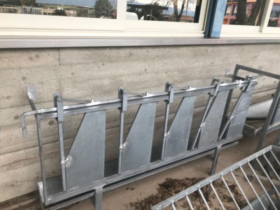 autocatturante per ovini