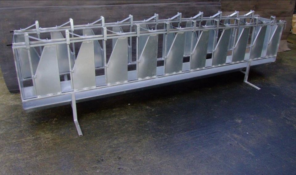 mangiatoia autocatturante per ovini