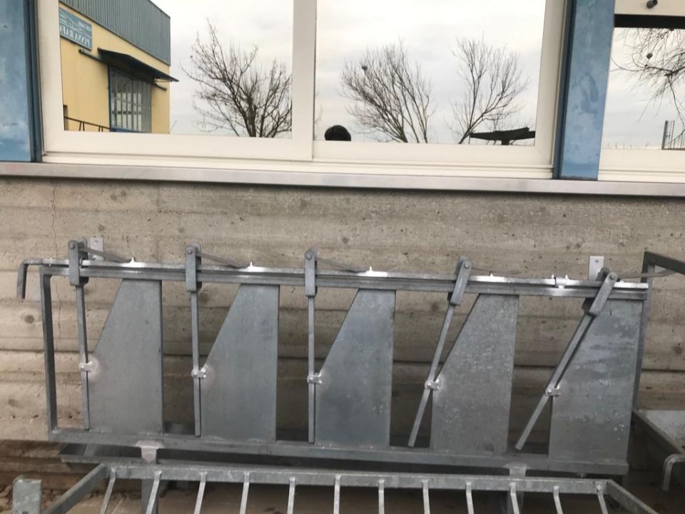 autocatturante per gli ovini