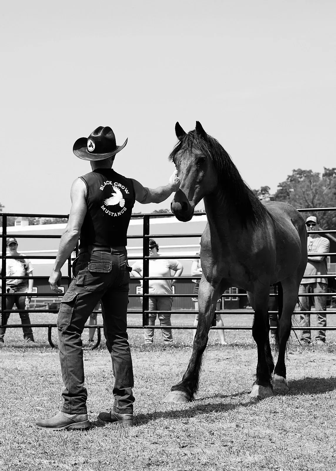 A man in a cowboy hat stands next to a horse