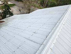 White metal roof with visible screws; small dark debris scattered across the surface.
