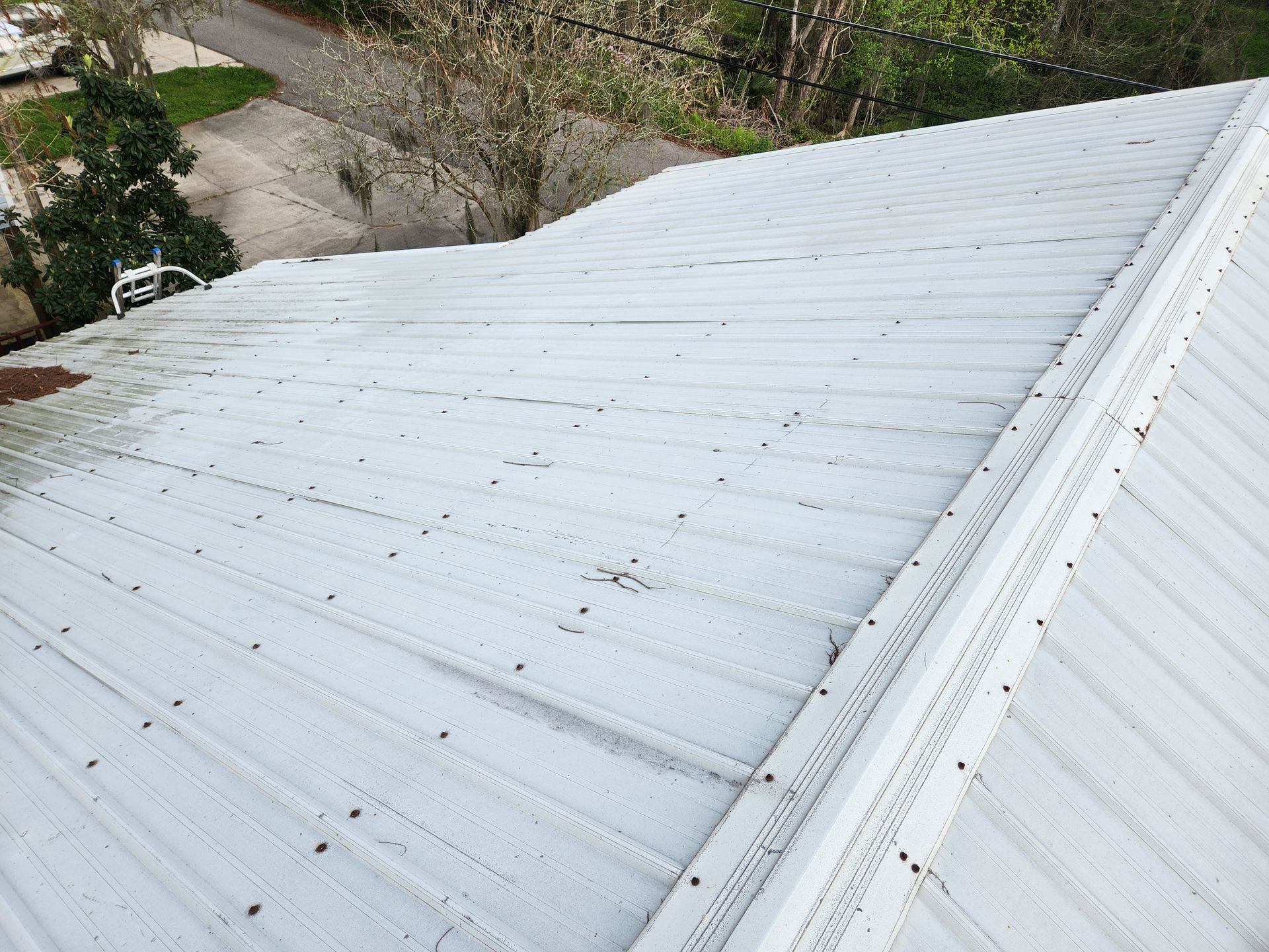 A white metal roof with visible fasteners, showing some debris and green growth on the surface, viewed from above.