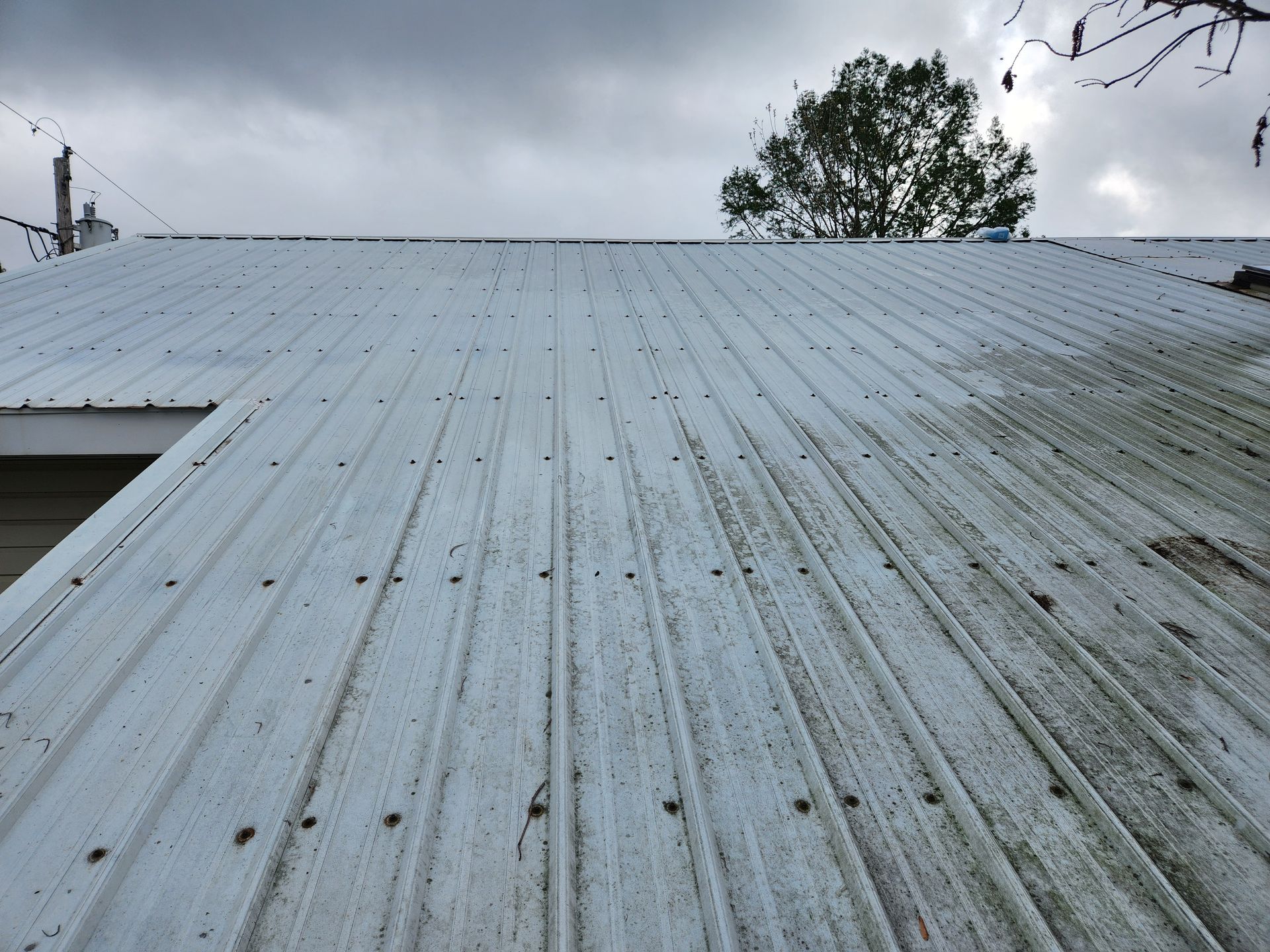 A white metal roof with some moss, under a cloudy sky. A tree and some power lines are visible in the background.
