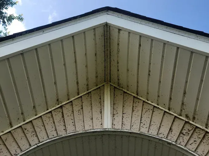 Close-up of the white soffit and trim of a house, with dark spots of debris. The roof line is visible at the top.