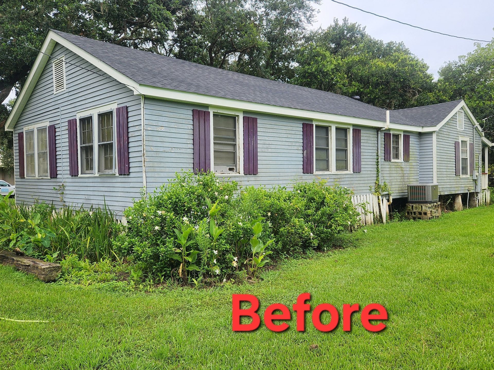 A blue, single-story house with purple shutters and a dark roof. Lush green bushes and grass surround the home.