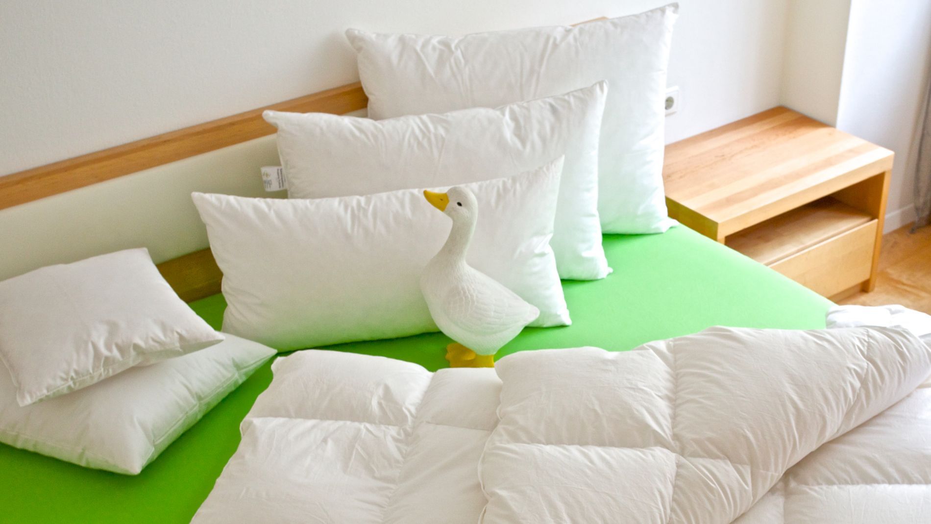 guanciali in piuma d'oca