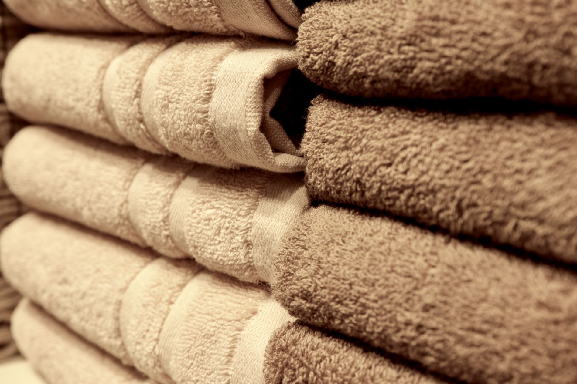 Spugne e tappeti da bagno