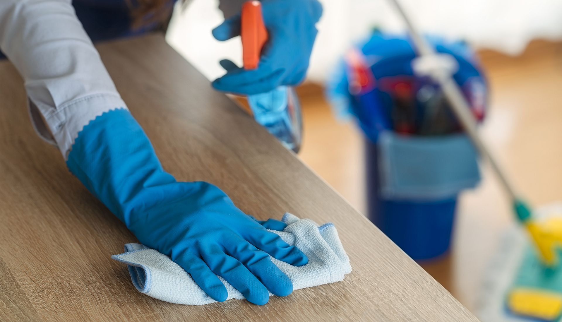 Blank white background.