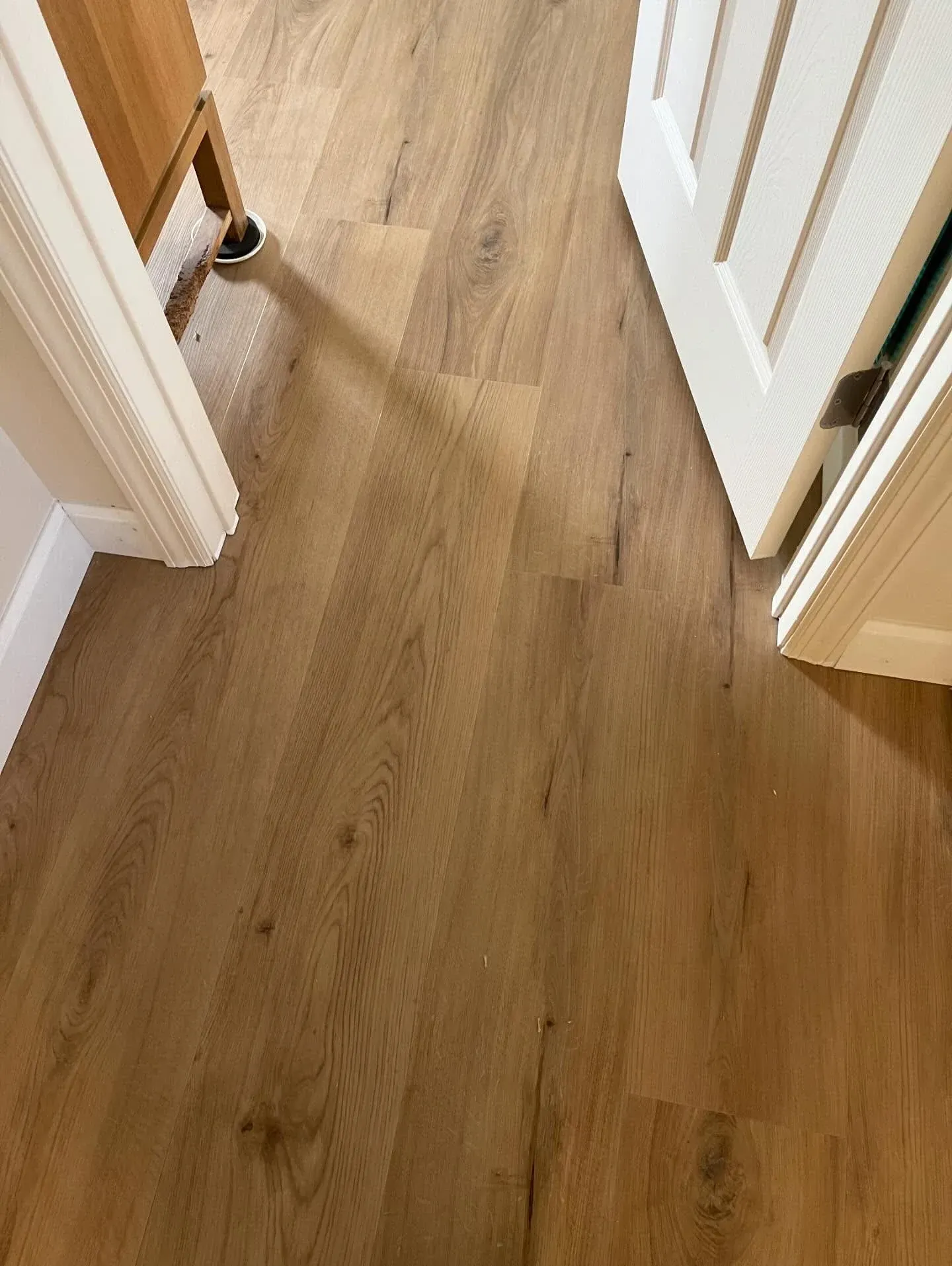 Wood-look hallway floor between open white doorways, with a black cable near the left side.