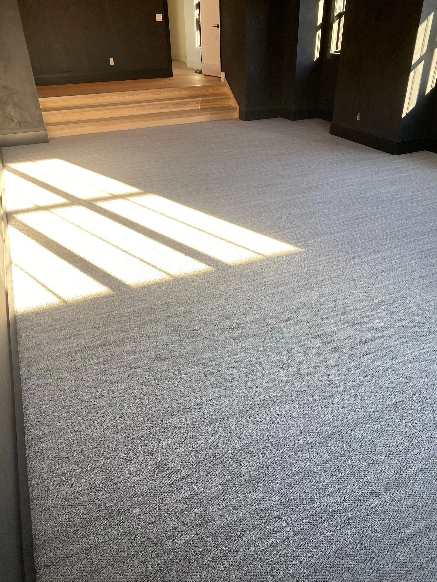 Sunlit carpeted hallway with stairs and dark walls, light streaming through window shadows.