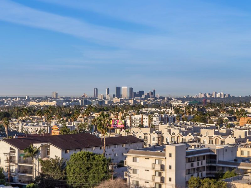 City skyline with buildings, palm trees, and clear blue sky.