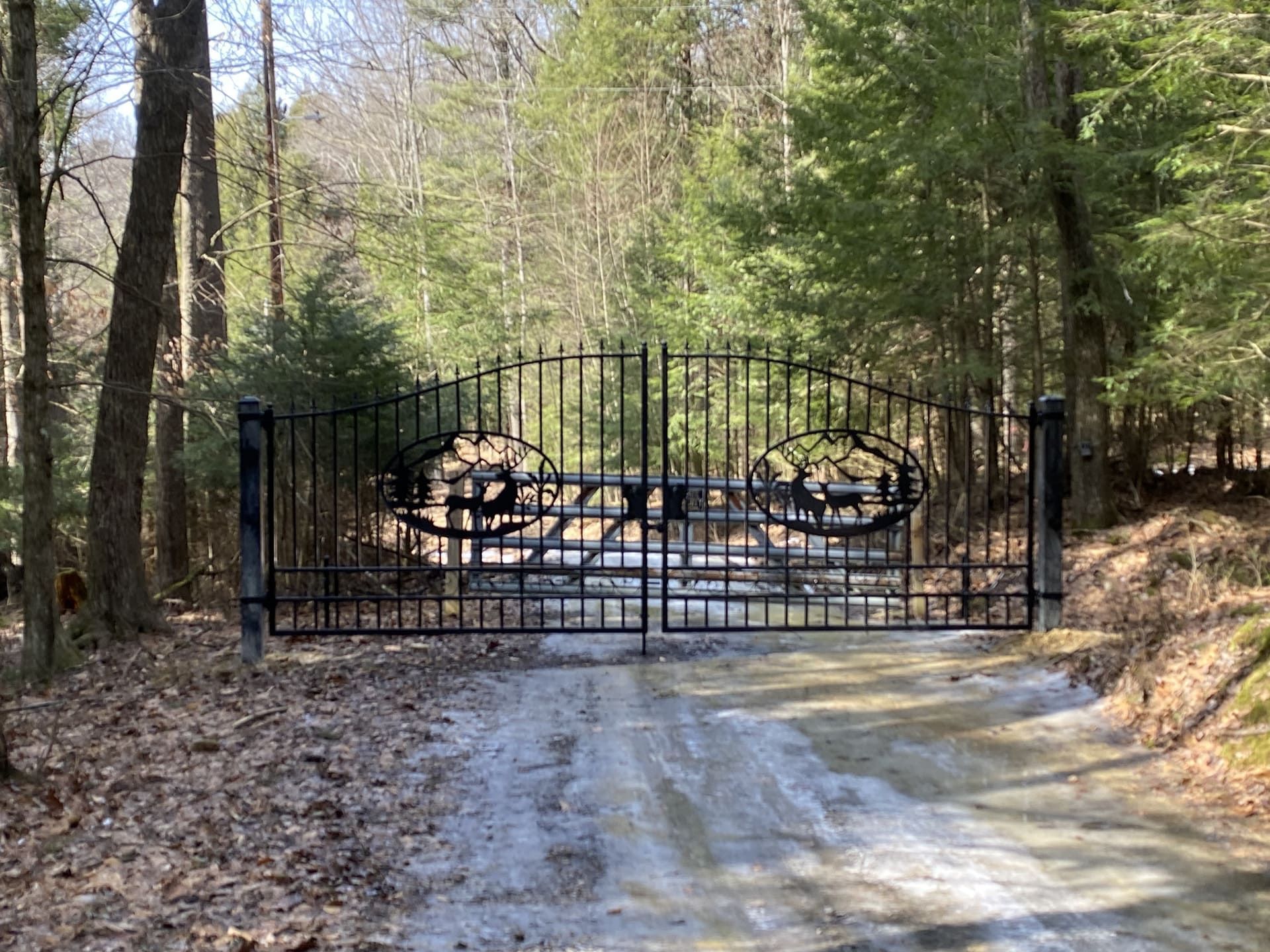Classic Iron Gate and house