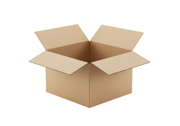 Open brown cardboard box.