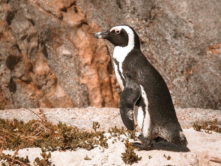 1-day Essential tour