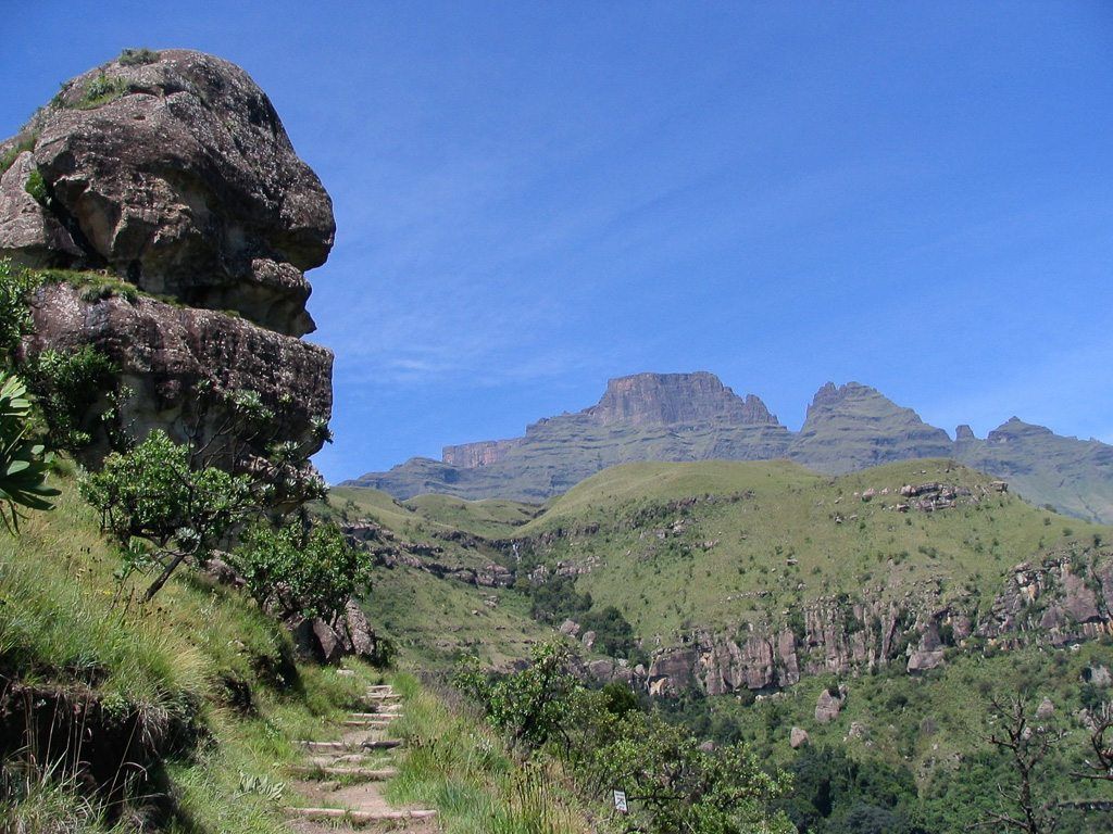 Fly Above The Kruger