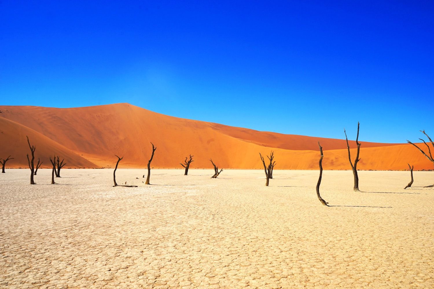 L'essentiel de la Namibie- Itinéraire 4 étoiles (15 nuits)