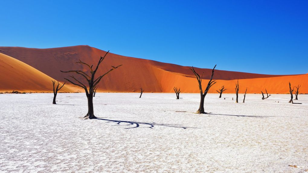 Deadvlei, Sossusvlei, Namibia