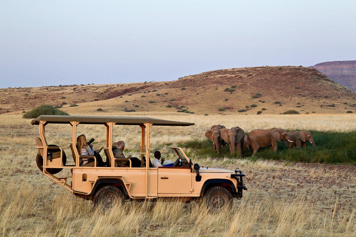 Best time to go to The Serengeti