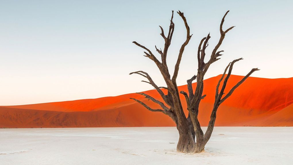 - Namib Desert, Namibia -