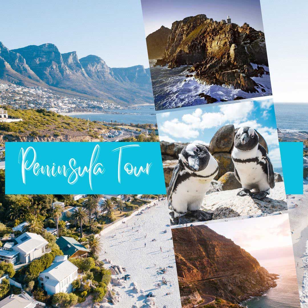 local travel agents in cape town
