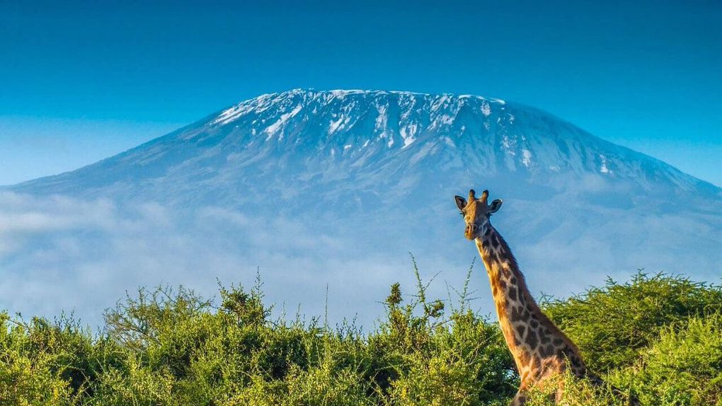 Kilimanjaro Nationall Park, Tanzania