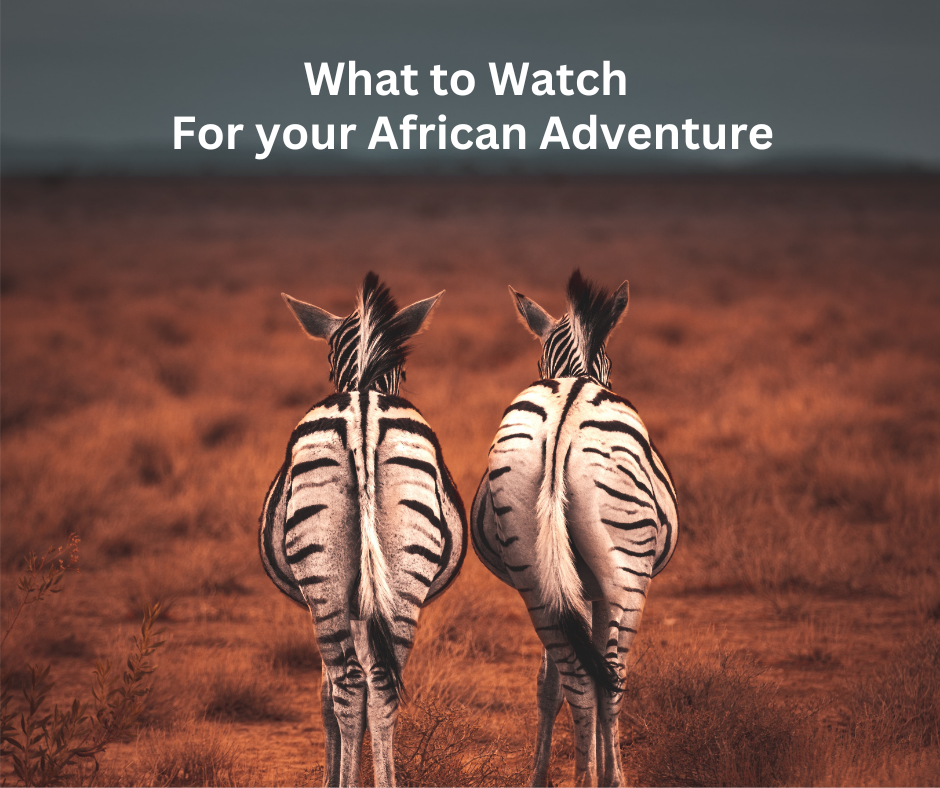 Movies and documentaries for an African adventure
