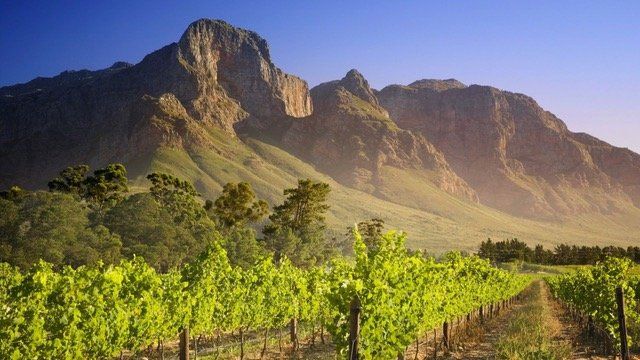 Cape Winelands, Cape Town, South Africa