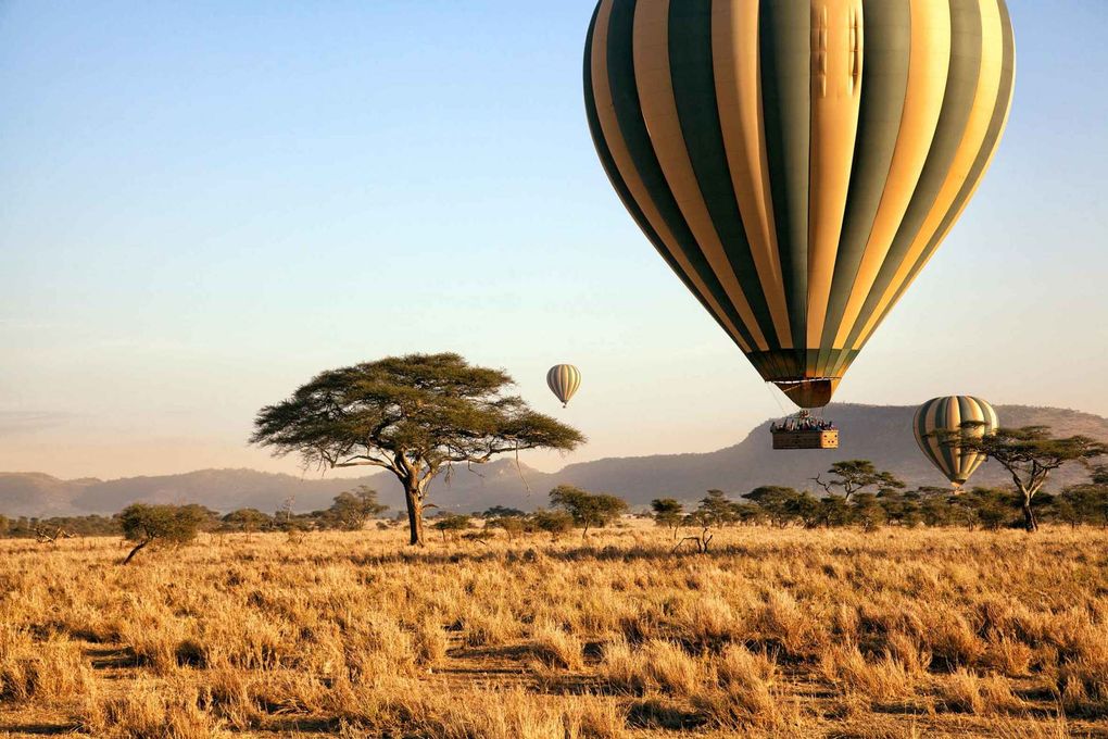 - Serengeti, Tanzania -