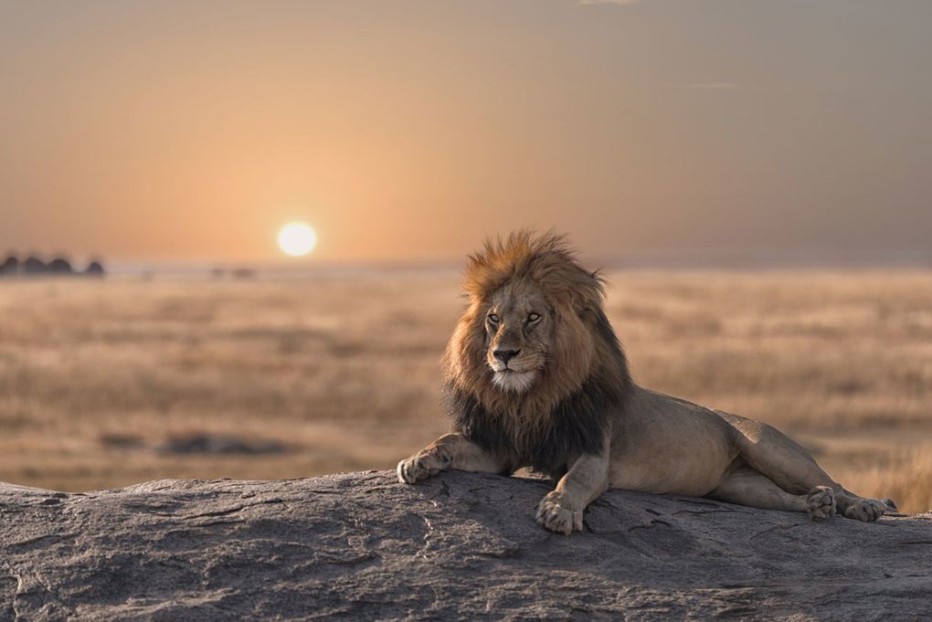 Chobe National Park, Botswana