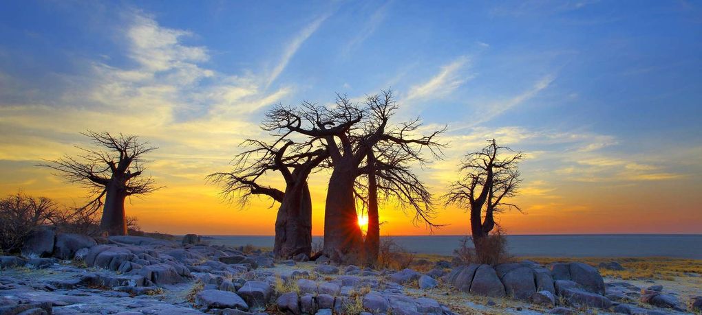 Makgadikgadi Pans, Botswana