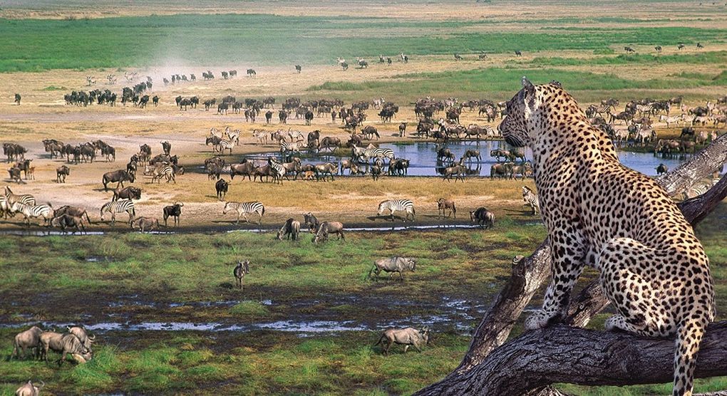 Ngorongoro Crater, Tanzania