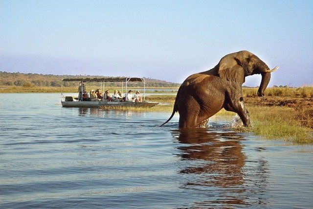 4X4 safari in Zambezi Park