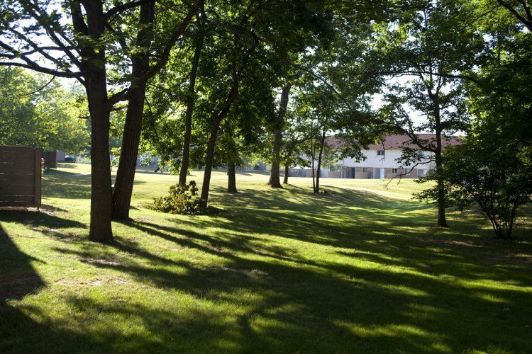 A lush green field with trees and a house in the background