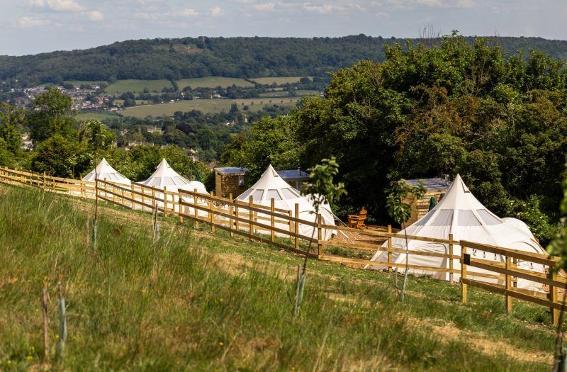 White tents beside a wooden fence on a grassy hillside, with trees and a valley in the background
