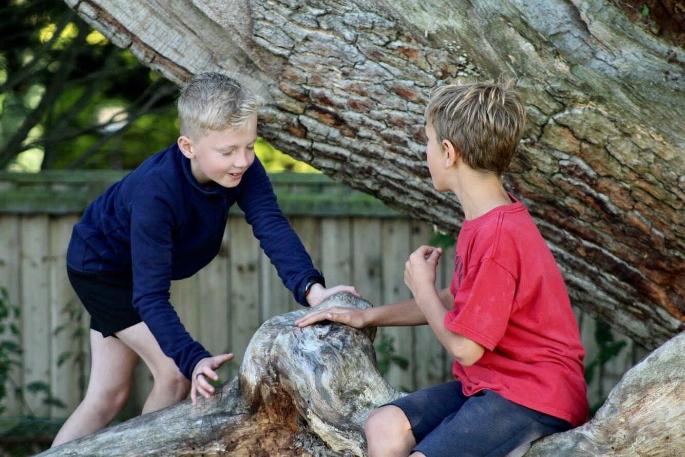 Two children in red and navy shirts playing on a large tree trunk outdoors