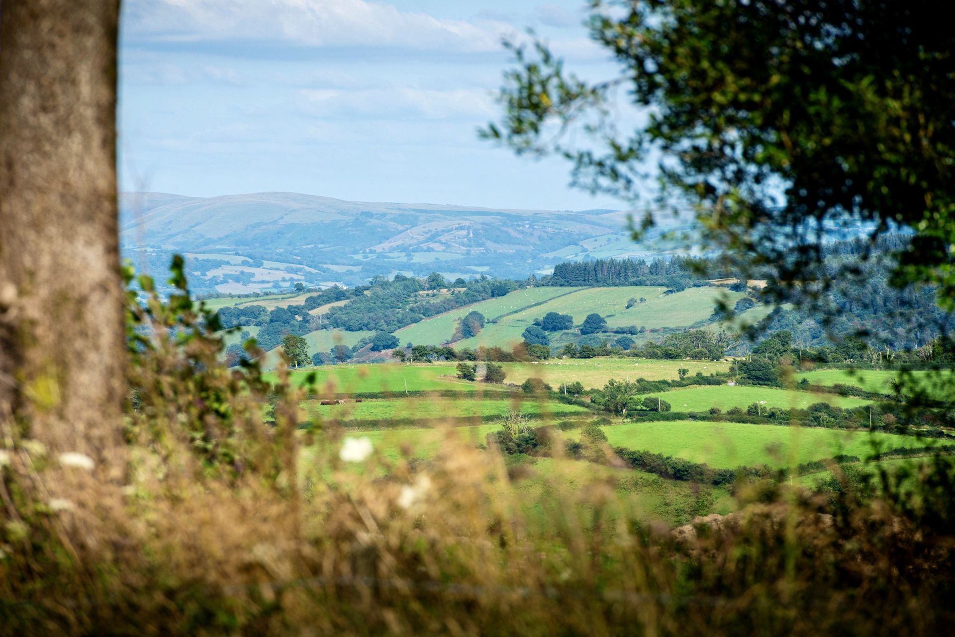 Head For The Hills