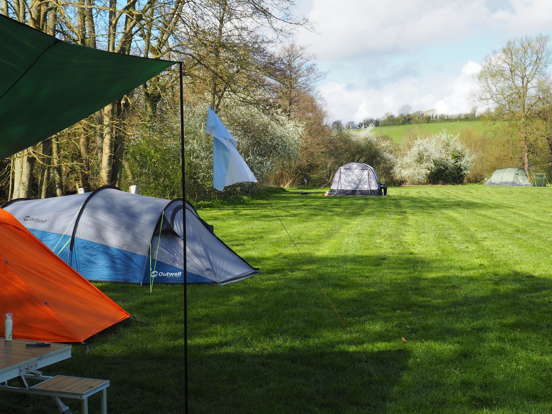 Camping tents on a grassy field beside trees under a sunny sky