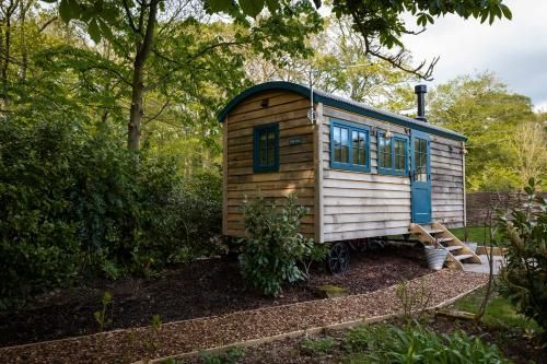 Small blue-and-white tiny house among trees, with a curved path and steps leading to the door.