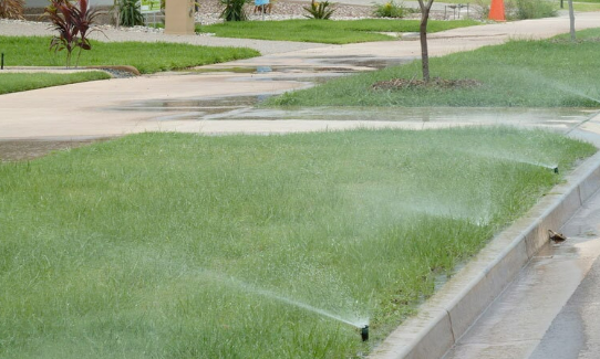 Sprinklers Spraying Grass — Landscaping in Palmerston, NT