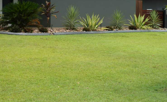 Well Maintained Turf — Landscaping in Palmerston, NT