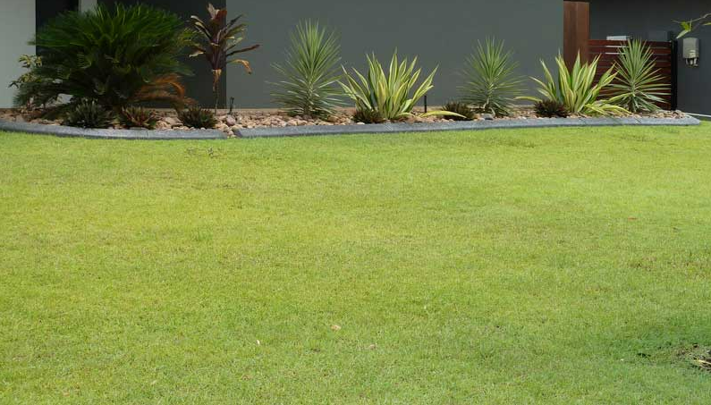 Well Maintained Turf — Landscaping in Palmerston, NT