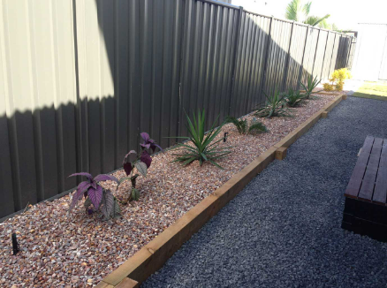 A Row of Plants — Landscaping in Palmerston, NT