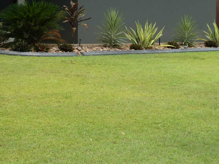 Freshly Mowed Lawn — Landscaping in Palmerston, NT