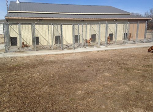 A Building with A Lot of Vizsla Kennels in Front of It