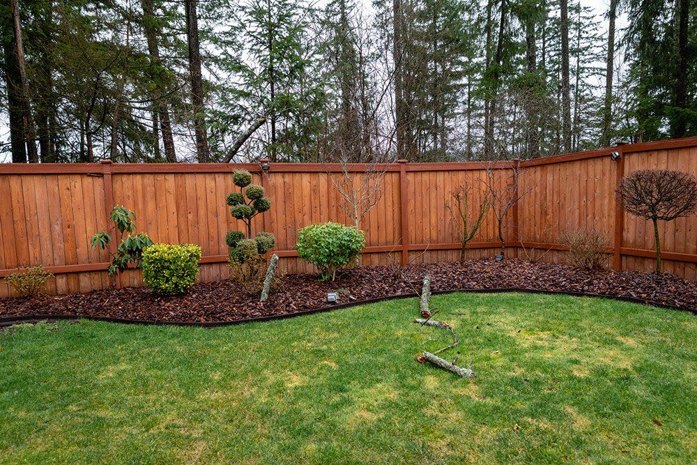 Rotten Tree Fell — Vancouver, WA — Mountainside Roofing LLC
