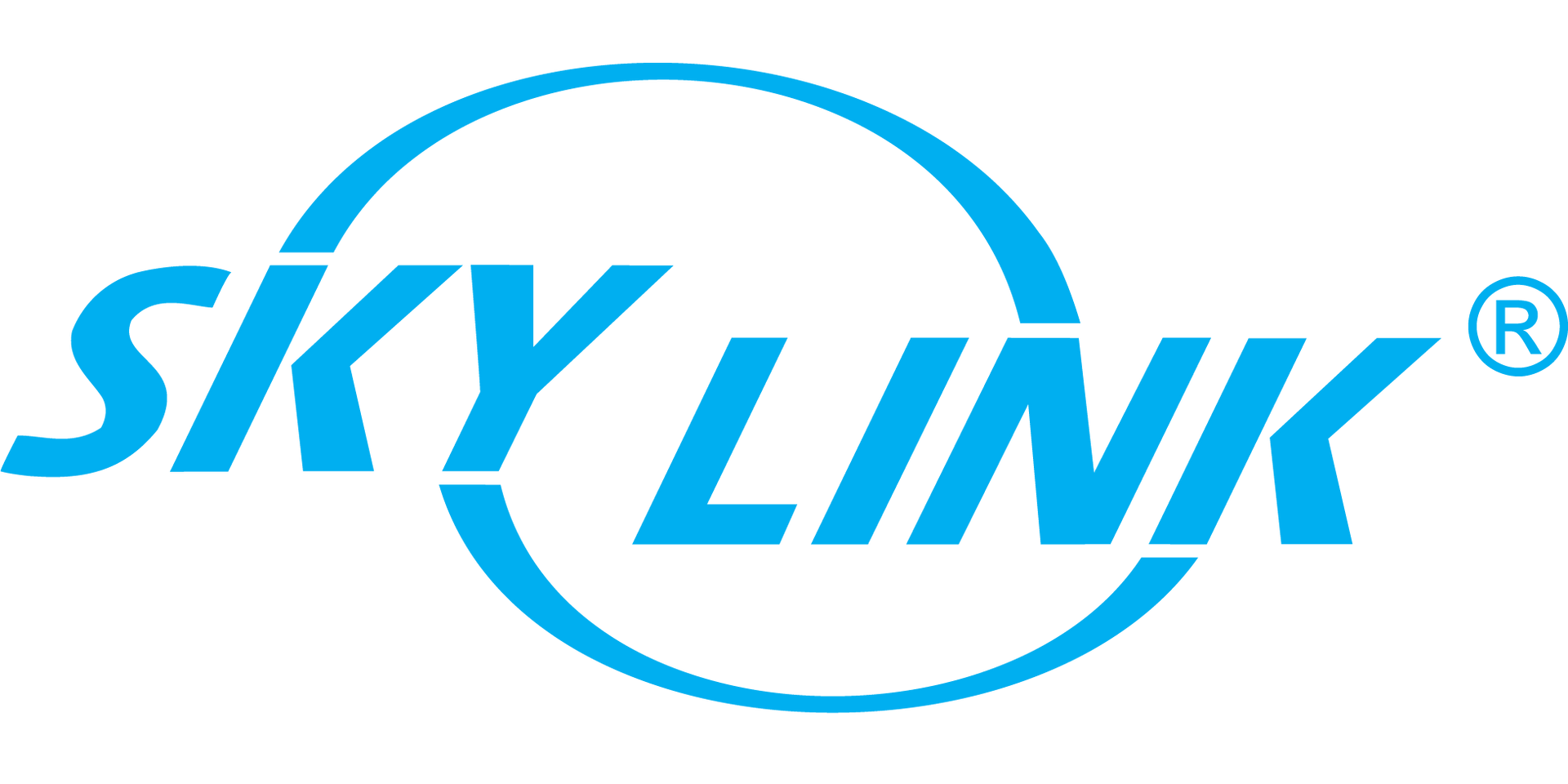 The sky link logo is blue and white on a white background.