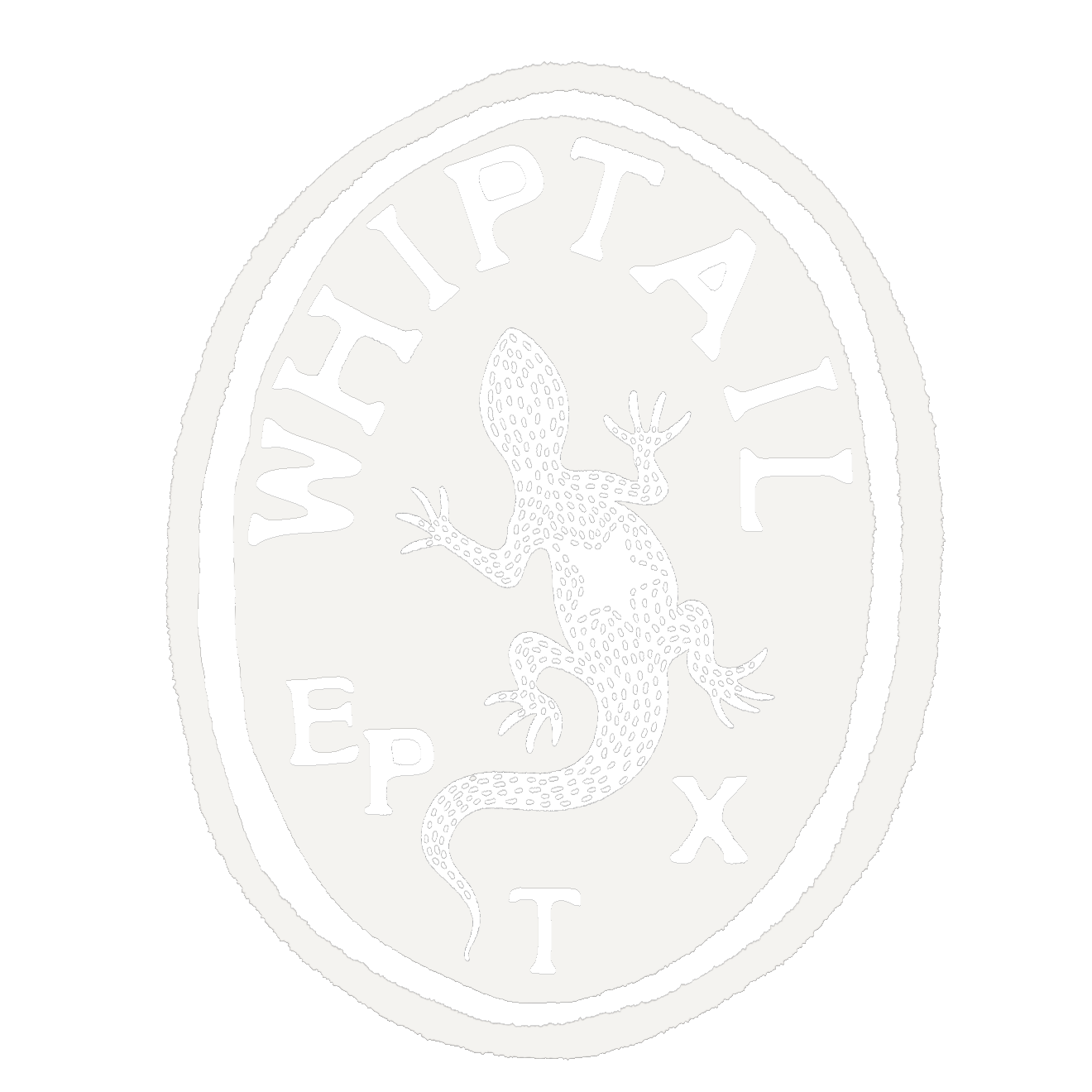 Logo of Whiptail Music Studio in El Paso, TX.