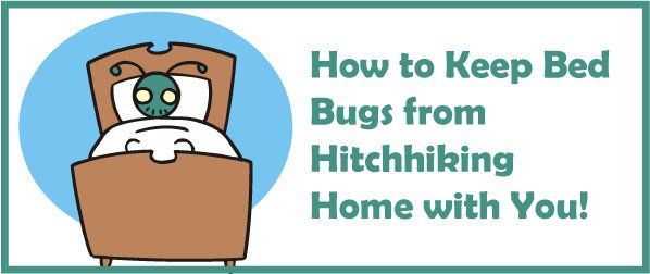 Keep Bed Bugs from Hitchhiking — Louisiana — DA Exterminating