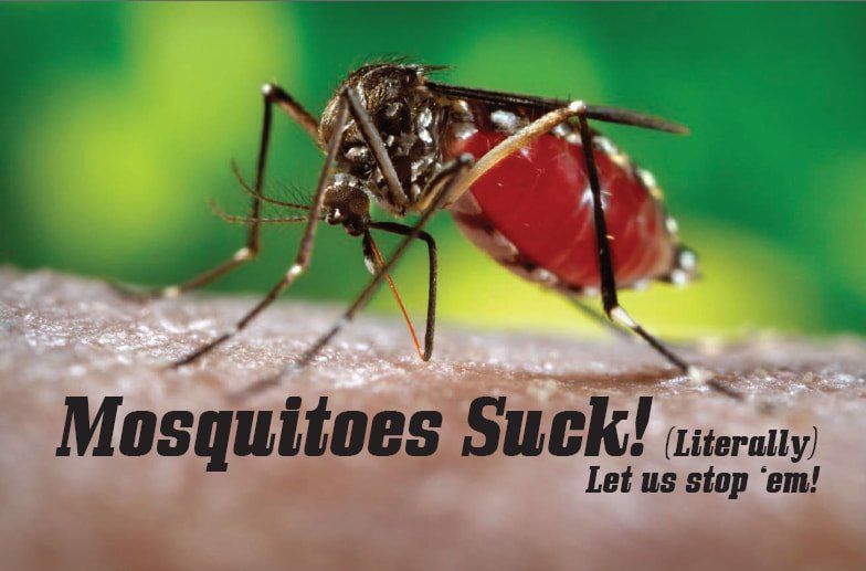 Mosquito Sucking Blood — Louisiana — DA Exterminating