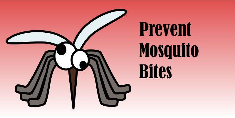 Prevent Mosquito Bite — Louisiana — DA Exterminating